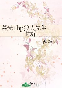 《暮光+hp狼人先生,你好》