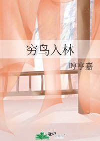 《穷鸟入林》
