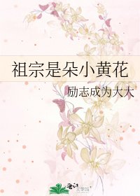 《祖宗是朵小黄花》