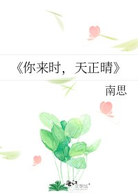 《你来时,天正晴》