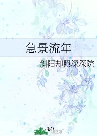 《急景流年》