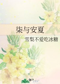 《柒与安夏》