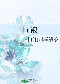 《同袍》