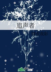 追声者