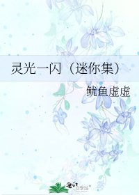《灵光一闪(迷你集)》