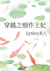 《穿越之细作王妃》