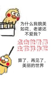 《恢复美貌后夫人对我始乱终弃》