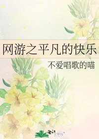 《网游之平凡的快乐》