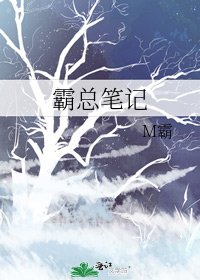霸总笔记