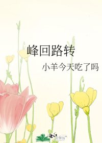 峰回路转