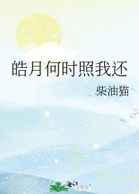 《皓月何时照我还》