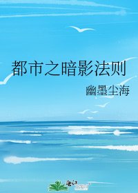 《都市之暗影法则》
