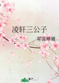 《凌轩三公子》