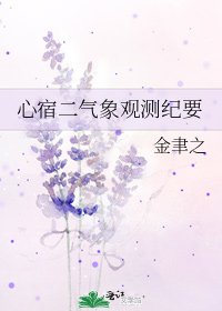 《心宿二气象观测纪要》
