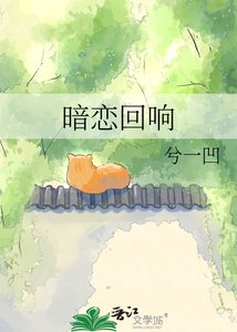 《暗恋回响》