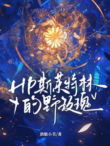 《(HP同人)HP斯莱特林的野玫瑰/HP以斯莱特林的方式爱你》