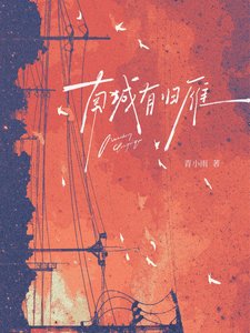 《南城有归雁》