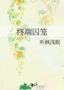 《终端囚笼》