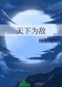 《天下为敌》