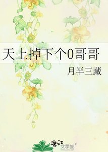 《天上掉下个0阁阁》