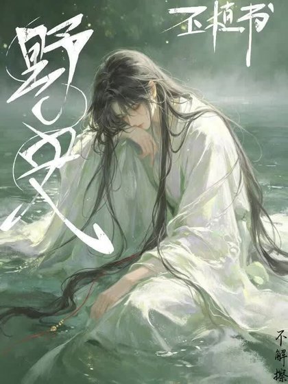 《野史·丕植书》