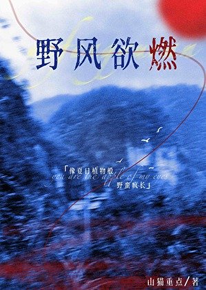 《野风欲燃》