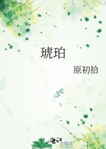 《琥珀》