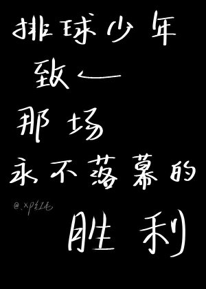 《【排球少年】致——那一场永不落幕的胜利》