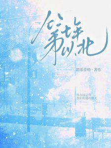 《第七年以北》