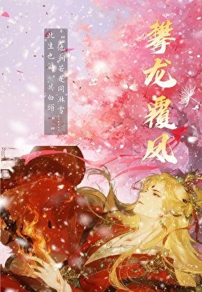 《攀龙覆凤》