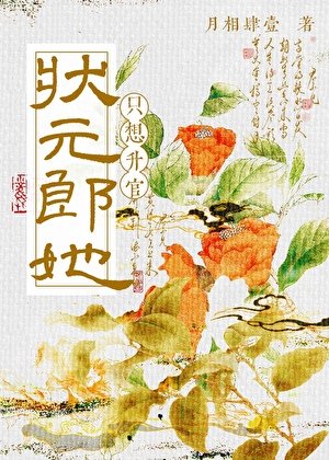《状元郎她只想升官》