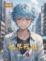 《视界残痕》