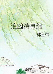 《追凶特事组》