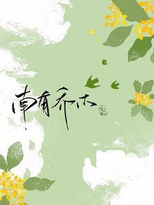 《南有乔木,我在等你》