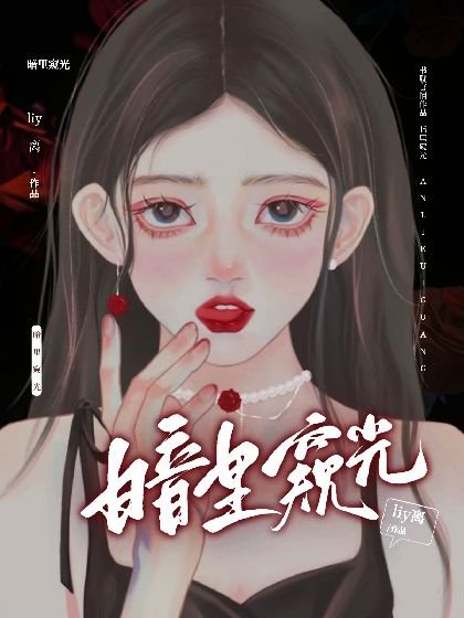 暗里窥光[刑侦]