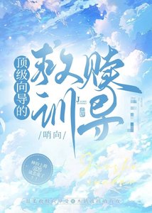 《顶级向导的救赎训导》