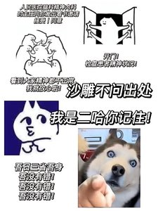沙雕不问出处,我是二哈你记住!/万人迷二哈在恋综靠沙雕爆红