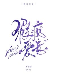 《瑕疵爱意》