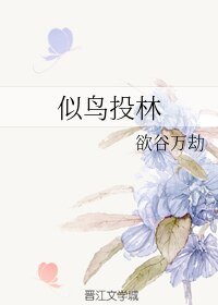 似鸟投林