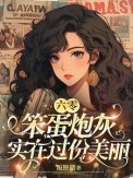 《六零笨蛋炮灰实在过份美丽》