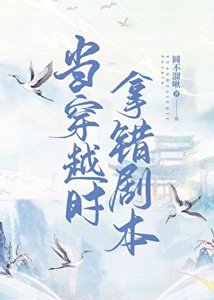 《当穿越时拿错了剧本》