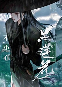 《一不小心折下了黑莲花》