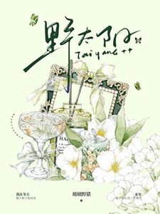 《叶太阳》