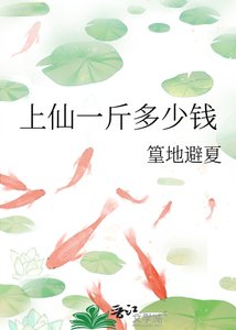 《上仙一斤多少钱》