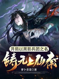 《开局以黑影兵团之名,铸无上仙秦》