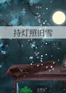 《持灯照旧雪》