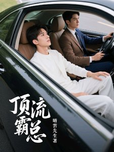《锭流霸总》
