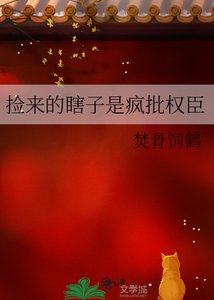 《捡来的瞎子是疯批权臣》
