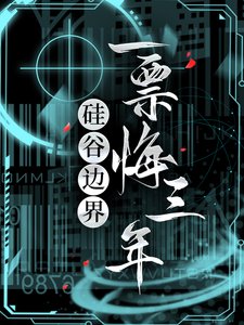 《硅谷边界:一票悔三年》