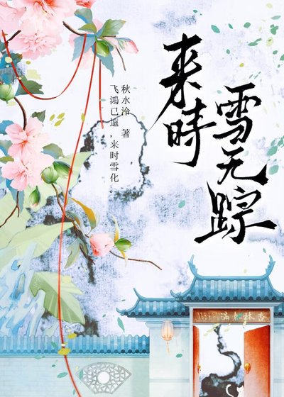 《来时雪无踪》